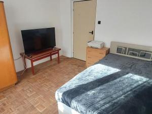 Pronájem bytu 3+1, Valašské Meziříčí - Krásno nad Bečvou, Seifertova, 60 m2