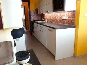 Prodej bytu 3+1, České Budějovice, Fr. Ondříčka, 70 m2