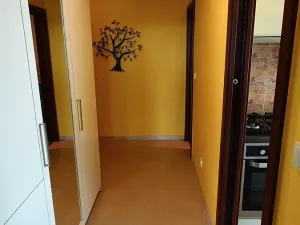 Prodej bytu 3+1, České Budějovice, Fr. Ondříčka, 70 m2