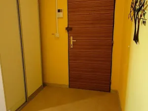 Prodej bytu 3+1, České Budějovice, Fr. Ondříčka, 70 m2