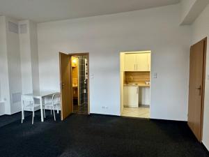 Pronájem bytu 1+kk, Pardubice - Bílé Předměstí, Štrossova, 28 m2