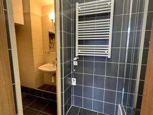 Pronájem bytu 1+kk, Pardubice - Bílé Předměstí, Štrossova, 28 m2