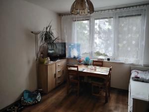 Prodej bytu 1+1, Plzeň, Sokolovská, 40 m2
