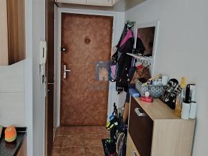 Prodej bytu 1+1, Plzeň, Sokolovská, 40 m2