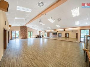 Pronájem komerční nemovitosti, Letkov, Plzeňská, 645 m2