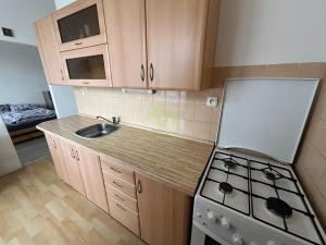 Pronájem bytu 2+1, Plzeň, Strnadova, 54 m2