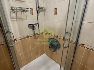Pronájem bytu 2+1, Plzeň, Strnadova, 54 m2