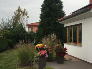 Pronájem rodinného domu, Velké Přílepy, Dvořákova, 160 m2