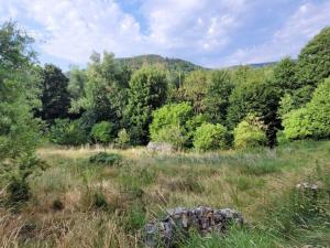 Prodej pozemku pro bydlení, Malečov - Horní Zálezly, 3175 m2