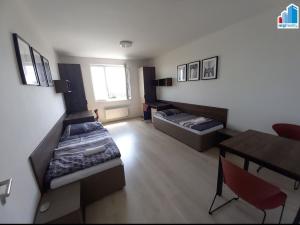 Pronájem bytu 2+1, Plzeň - Jižní Předměstí, Magisterská, 47 m2