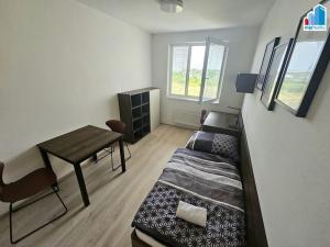 Pronájem bytu 2+1, Plzeň - Jižní Předměstí, Magisterská, 47 m2
