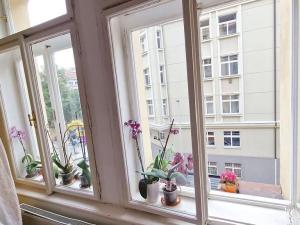 Prodej bytu 2+kk, Praha - Vršovice, Mexická, 56 m2