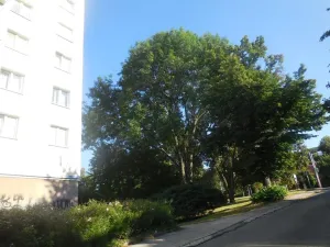 Pronájem bytu 1+1, Zlín, Díly I, 36 m2
