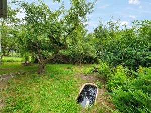 Prodej chaty, Mrač, 47 m2