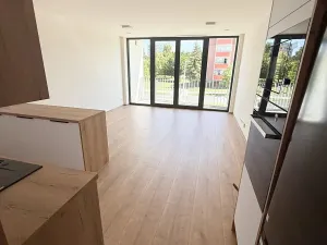 Pronájem bytu 1+kk, Přerov, Seifertova, 39 m2