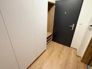 Pronájem bytu 1+kk, Přerov, Seifertova, 39 m2