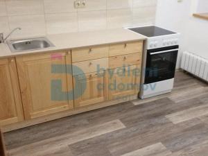 Pronájem bytu 1+1, Těšetice, 45 m2