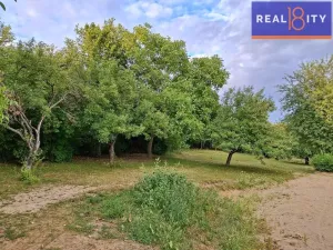 Pronájem zahrady, Praha - Nebušice, 1241 m2