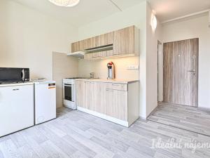 Pronájem bytu 1+1, Brno, Stamicova, 33 m2