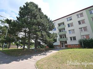 Pronájem bytu 1+1, Brno, Stamicova, 33 m2
