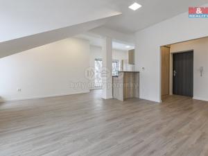 Pronájem bytu 4+kk, Opava - Předměstí, Pekařská, 113 m2