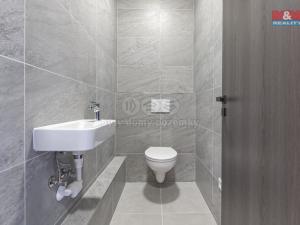 Pronájem bytu 4+kk, Opava - Předměstí, Pekařská, 113 m2