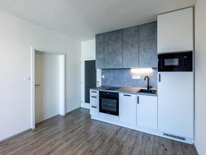 Pronájem bytu 2+kk, Plzeň, 45 m2