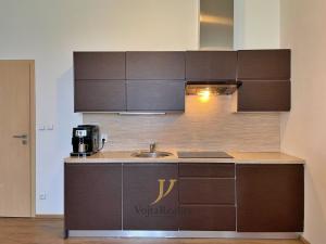 Pronájem bytu 1+kk, Olomouc, Skupova, 41 m2