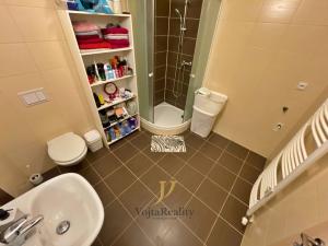 Pronájem bytu 1+kk, Olomouc, Skupova, 41 m2