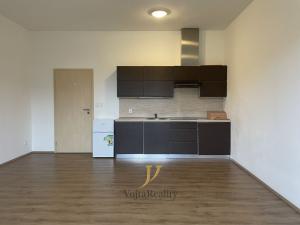 Pronájem bytu 1+kk, Olomouc, Skupova, 41 m2