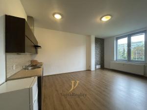 Pronájem bytu 1+kk, Olomouc, Skupova, 41 m2