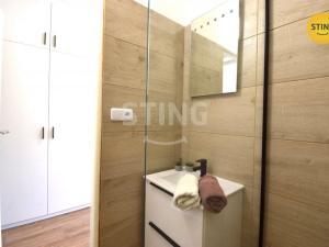 Pronájem bytu 1+1, Zlín, Nivy I, 42 m2