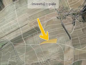 Prodej pole, Hřebečníky - Novosedly, 13258 m2