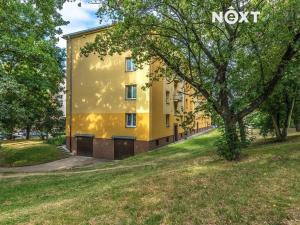 Pronájem bytu 1+kk, Praha - Hloubětín, Zelenečská, 26 m2