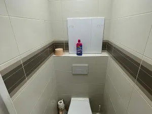 Pronájem bytu 2+1, Lovosice, Palackého, 65 m2