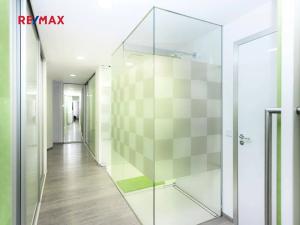 Pronájem bytu 4+kk, Praha - Podolí, Na hřebenech I, 160 m2