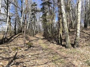 Prodej pozemku, Františkovy Lázně, 5489 m2