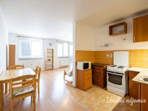 Pronájem bytu 1+kk, Šestajovice, Komenského, 47 m2