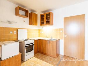 Pronájem bytu 1+kk, Šestajovice, Komenského, 47 m2