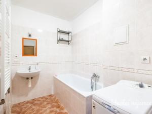 Pronájem bytu 1+kk, Šestajovice, Komenského, 47 m2