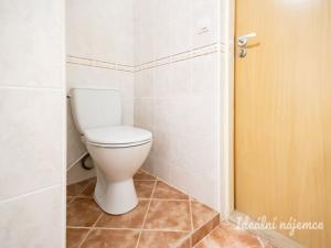 Pronájem bytu 1+kk, Šestajovice, Komenského, 47 m2