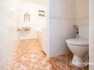 Pronájem bytu 1+kk, Šestajovice, Komenského, 47 m2