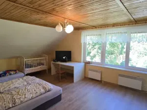 Prodej rodinného domu, Černá v Pošumaví - Mokrá, 200 m2