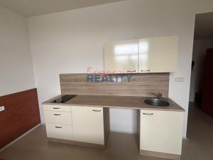 Pronájem bytu 1+kk, České Budějovice, Jiráskovo nábř., 30 m2
