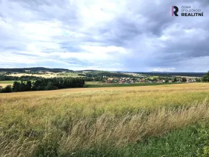 Prodej bytu 3+1, Mirotice - Strážovice, 75 m2