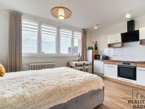 Prodej bytu 1+kk, Ostrava, Spartakovců, 24 m2