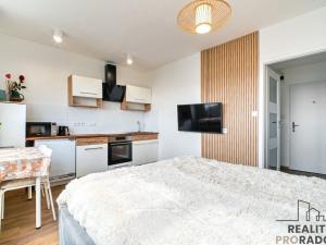 Prodej bytu 1+kk, Ostrava, Spartakovců, 24 m2