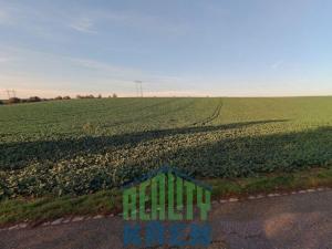 Prodej pole, Plaňany - Blinka, 132775 m2