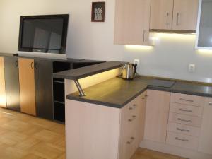 Pronájem bytu 2+kk, Brno - Veveří, Bayerova, 46 m2