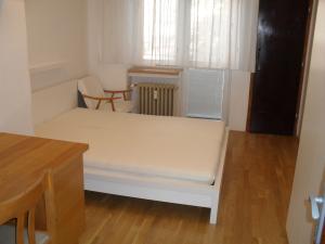 Pronájem bytu 2+kk, Brno - Veveří, Bayerova, 46 m2